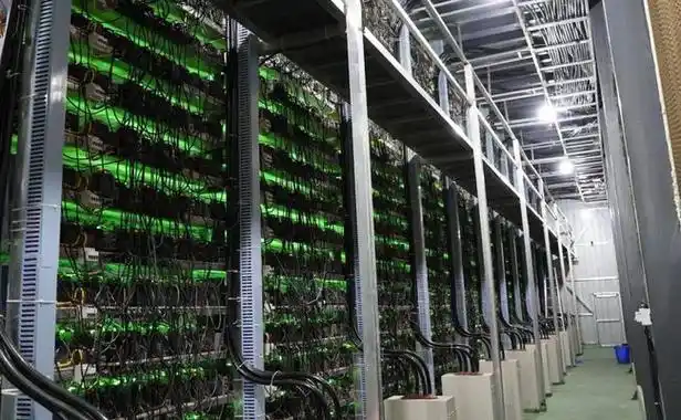 A well-organized mining farm setup showcasing various mining rigs