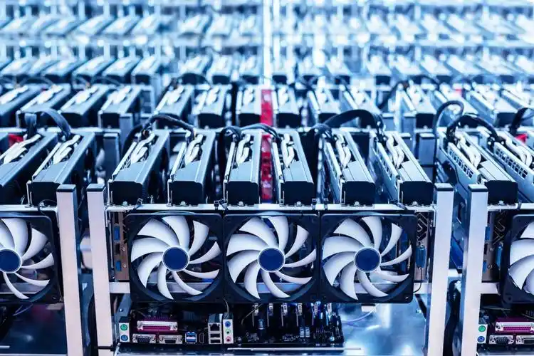 A expansive mining farm in Germany hosting various Kaspa miners, illustrating the collaborative and efficient environment for crypto operations