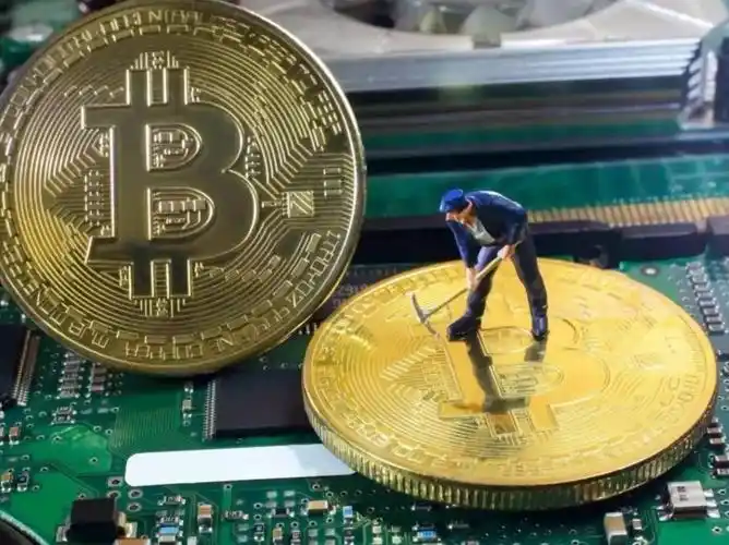 A large Bitcoin mining farm with rows of ASIC miners.