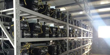 A compact Zcash mining rig in action, showcasing affordable hardware for efficient cryptocurrency extraction